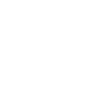 house icon